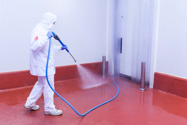 Trusted Lindenhurst, NY Pressure Washing Experts